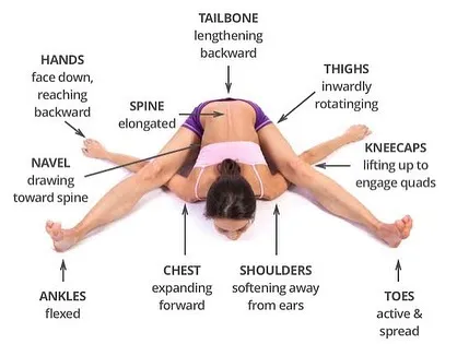 An instructional diagram explaining the key alignment points of Kurmasana (Tortoise Pose).