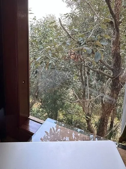 A writer's desk with a view. We believe that your environment shapes your work, which is why every space is designed to inspire.