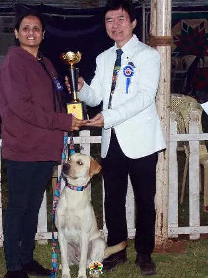 Another proud winner receiving her award with her well-behaved Labrador at the Ooty Dog Show.
