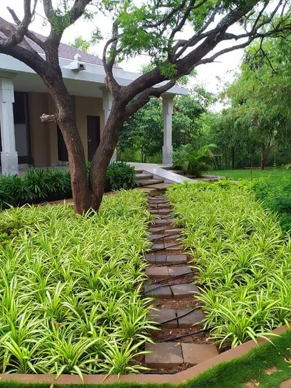A stone pathway winds through the lush, green landscape of the Yoga School. We designed the grounds to be an integral part of the tranquil experience, guiding visitors through nature.