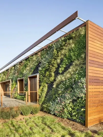 A full building wrap with a living wall. This project combines the green wall with natural wood siding for a warm, organic, and modern look.