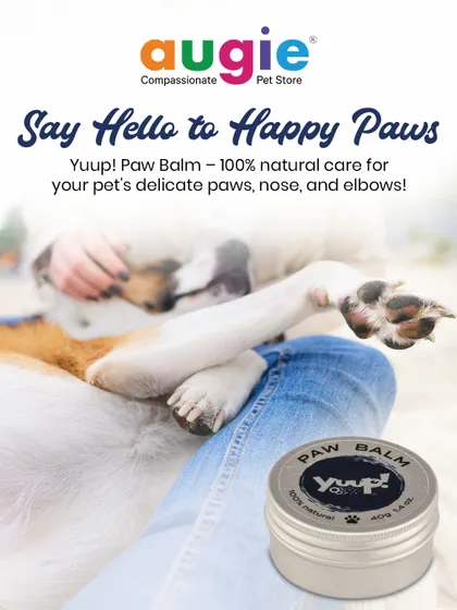 Say hello to happy paws with Yuup! Paw Balm. It provides 100% natural care for your pet's delicate paws, nose, and elbows, keeping them soft and protected.