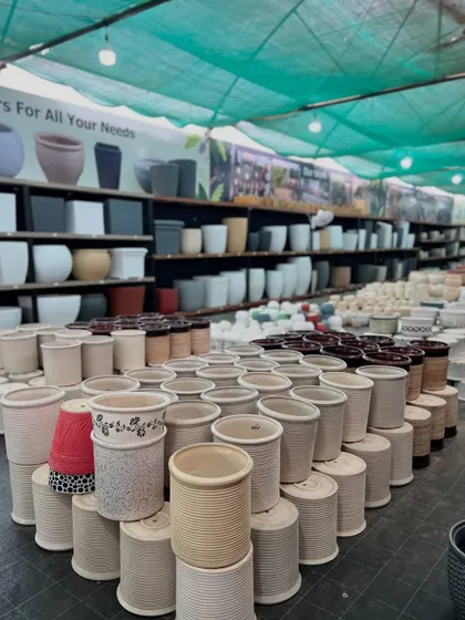 Our shelves are filled with planters of all kinds. Whether you need a small pot for a succulent or a large one for a tree, we have you covered.