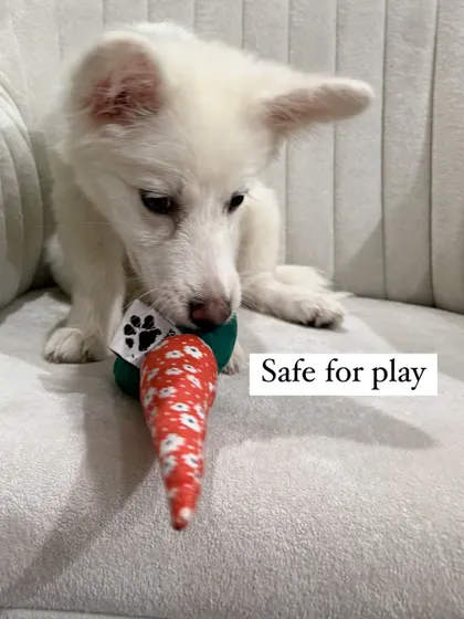 This image emphasizes that the toy is safe for play. Because it's made from 100% cotton with no plastic parts, you can feel good about your dog chewing on it.