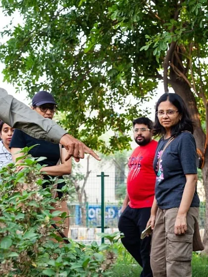 Our on-ground expert points out a native plant to a group of curious citizens during a weekend nature walk at Aravali Creek.