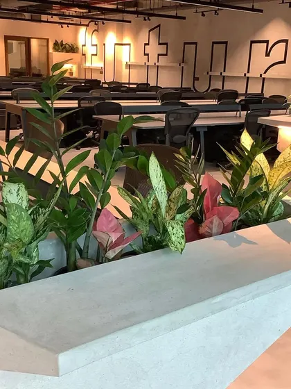 A mix of textures and colors in this desktop planter adds visual interest. We selected hardy plants like Aglaonema and ZZ plants that thrive in office lighting conditions.