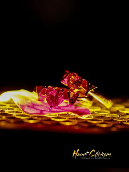 An artistic shot of the couple's engagement rings resting on a flower petal, with a beautiful golden glow.