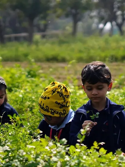 Students from HDFC School are deep in concentration as they explore the coriander patch. This sensory experience helps them learn to identify different plants and herbs.