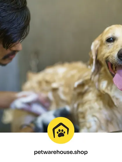 This image of a gentle bath, paired with our customer testimonials, shows our commitment to the hands-on, loving care that defines the Pet Warehouse experience.