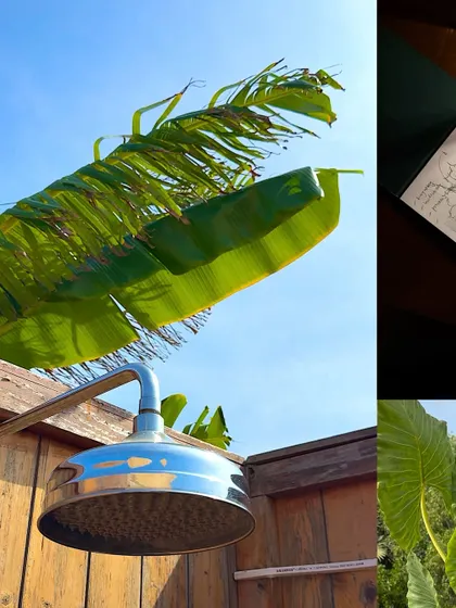 A digital detox in Pondicherry, featuring an outdoor shower surrounded by banana leaves.
