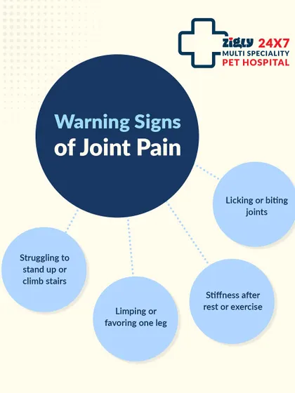 Warning signs of joint pain can include struggling to stand up, limping, or excessively licking or biting at joints. Recognizing these signs early is crucial for effective pain management.
