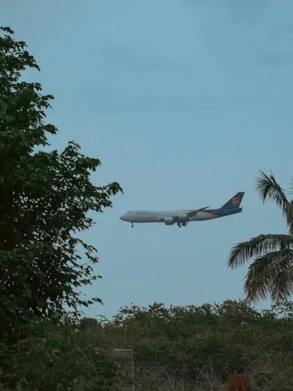An airplane framed by trees, about to land. This shot captures a moment of transit and connects the machine with the natural environment.