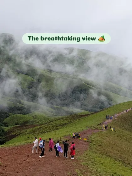 The scale of the Netravathi peak during monsoon is something you have to see to believe. The trail winds along these vibrant green hills, with clouds rolling right beside you.