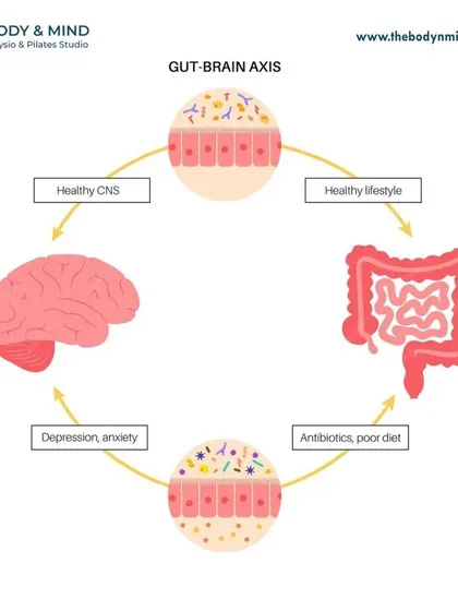 This diagram illustrates the bidirectional relationship between your brain and gut. Factors like antibiotics or a poor diet can impact gut flora, sending distress signals to the brain that may manifest as anxiety or depression.