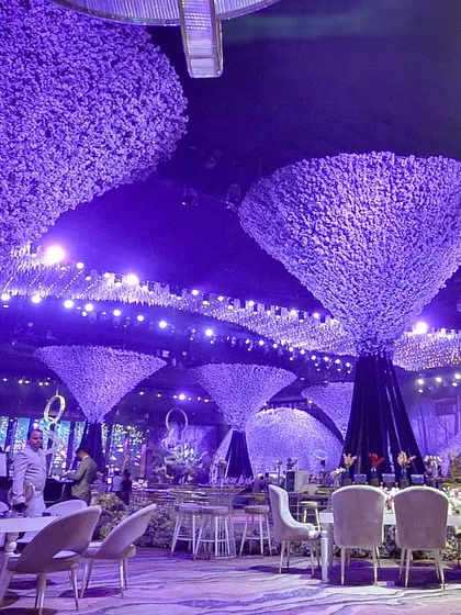 An event space transformed into a surreal wonderland with unique, tree-like structures and ambient purple lighting. Our catering setups are designed to enhance such creative themes, making the food an integral part of the fantasy.