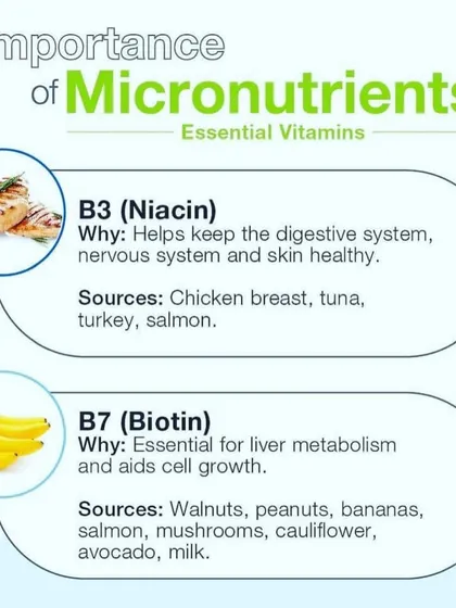 Vitamins like B3 (Niacin) and B7 (Biotin) are essential for your digestive system, skin health, and liver metabolism.