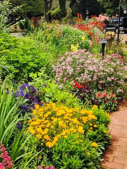 A vibrant, mixed border with a wide variety of flowers creates a stunning display of color.