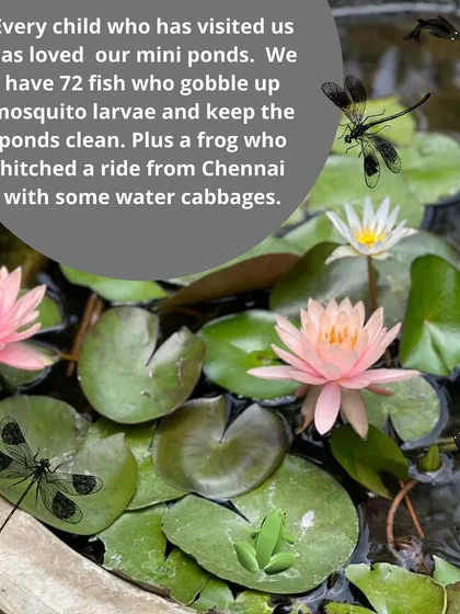From observing flowers and bugs to playing with our miniature pond, every day is an opportunity to connect with the natural world. These activities are central to our curriculum, encouraging observation and a love for nature.