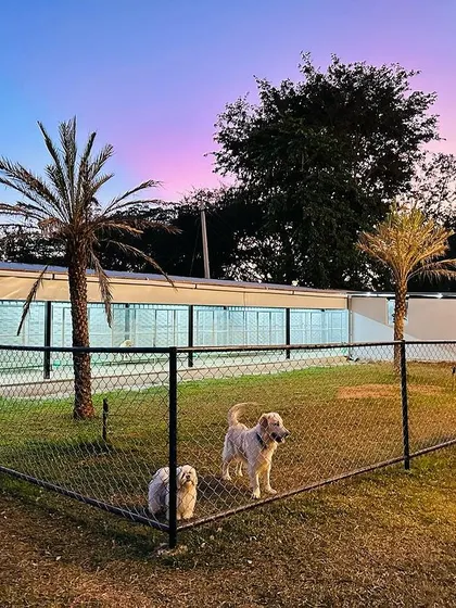 The beautiful evening sky over our boarding kennels. We provide a peaceful and serene environment for our overnight guests.