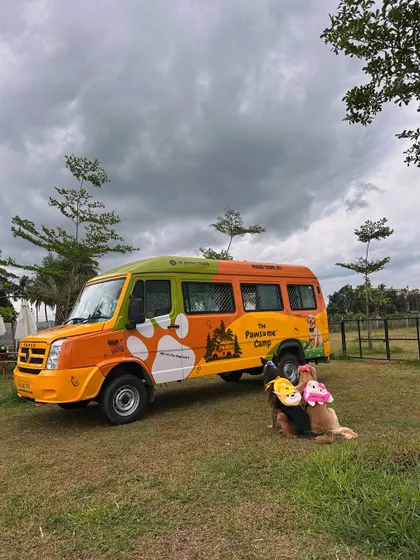 All aboard the Doggie School Bus! Our custom-built, safe transport makes getting to and from camp an adventure in itself. We offer convenient pick-up and drop-off services.