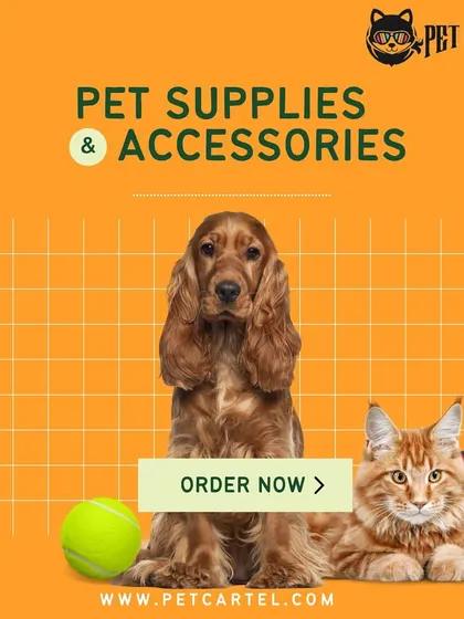 This image is a simple invitation to explore our wide range of pet supplies and accessories. From tennis balls to food bowls, we have it all.