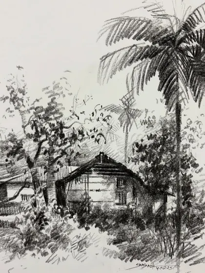A pencil sketch of a rural house with a palm tree, focusing on the contrast between natural and man-made textures.