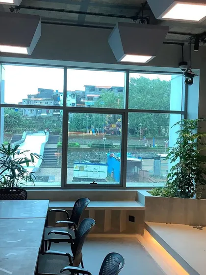 We placed plants strategically to take advantage of the natural light from these large windows, creating a healthier environment for both the plants and the employees.