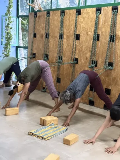 Students using the rope wall for a supported version of Adho Mukha Svanasana (Downward-Facing Dog). This variation helps to open the shoulders and lengthen the spine without putting pressure on the wrists.