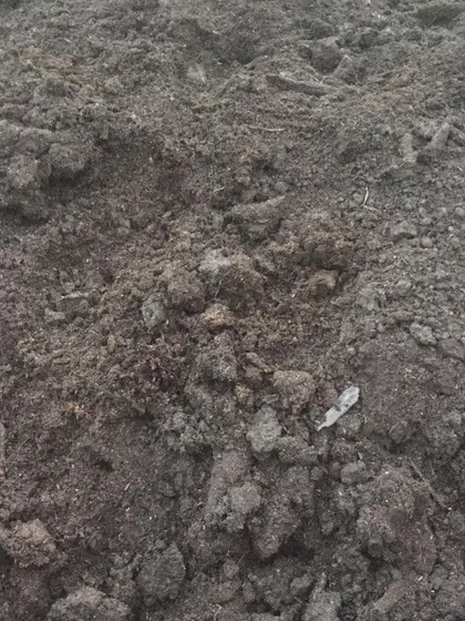 A close-up of our finished compost, made from a mix of poultry, horse, and cow manure and bedding. This nutrient-dense organic matter is great for top dressing gardens.