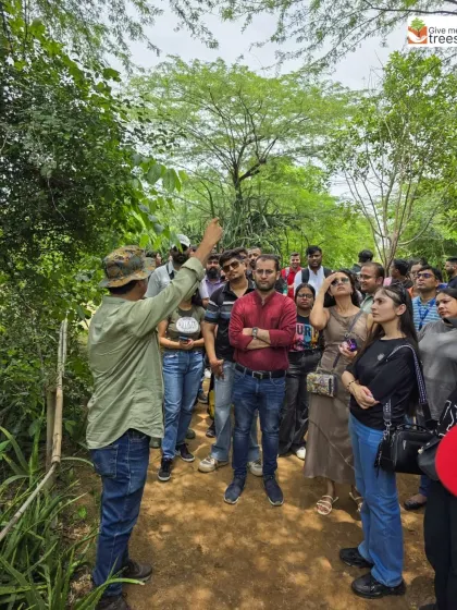 A walk with us is a conversation. Here, I am showing a group from KPMG the small details you might otherwise miss. We look at leaf patterns, check for insects, and talk about how everything in the forest is connected. It is not a lecture, it is a shared discovery.