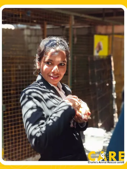 As part of the Tata Volunteering Month, we had the pleasure of hosting the team from Taj Westend. Here, a team member enjoys a gentle moment with one of our guinea pigs.