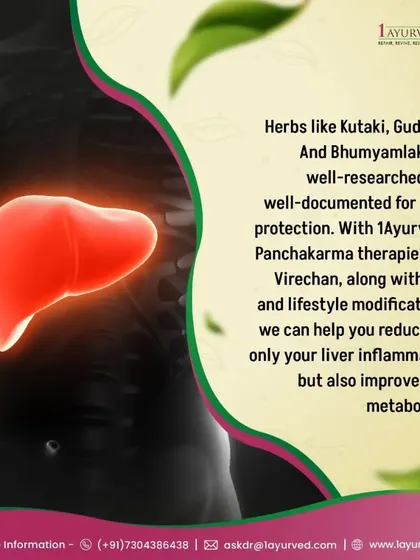 For liver health, we use well-researched herbs like Kutaki, Guduchi, and Bhumyamalaki. Combined with Panchakarma therapies like Virechana and lifestyle modifications, we can reduce liver inflammation and improve your overall metabolism.