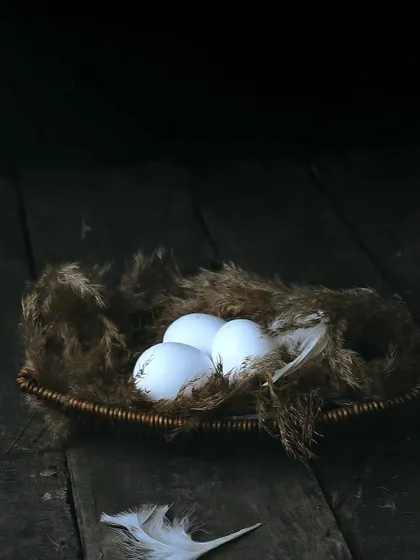 A dark and rustic still life of three white eggs nestled in a basket of dried grass. The feathers and wooden background create a natural, farm-fresh aesthetic that feels authentic and organic.