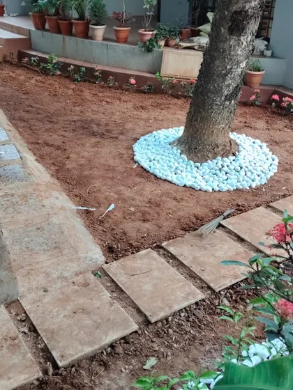 A work-in-progress shot of a garden bed being prepared around a mature tree, with a border of white pebbles and a newly laid stone path.
