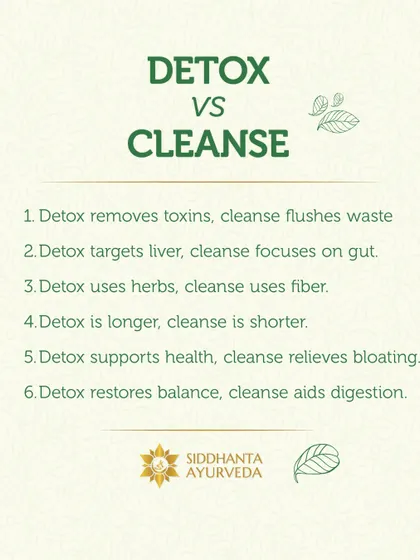 People often confuse 'detox' and 'cleanse'. This graphic clarifies the difference. A detox is a deeper, systemic process targeting organs like the liver, while a cleanse is a shorter process focused on flushing the digestive tract.
