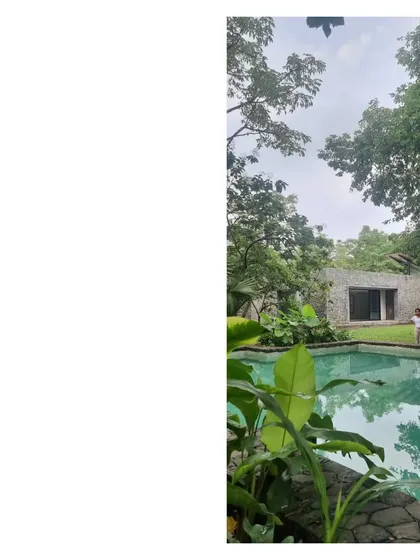 A quiet moment by the pool at the House in a Grove. The architecture is designed to be a backdrop, allowing the experience of the natural grove to take precedence.