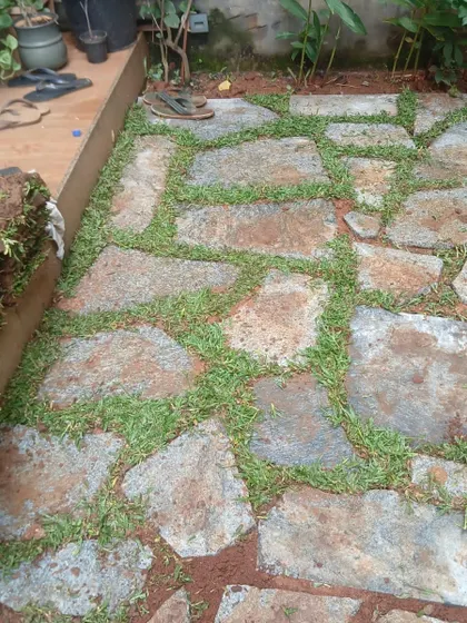 A close-up of a flagstone path with grass growing in the joints, showing a roll of turf ready to be laid. This highlights the combination of stone and lawn elements.