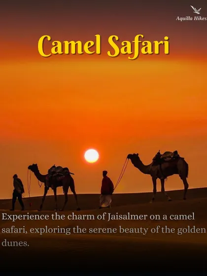 Experience the timeless charm of a camel safari across the golden dunes of Jaisalmer. We arrange this iconic activity for you to enjoy the serene beauty of the desert at sunset.