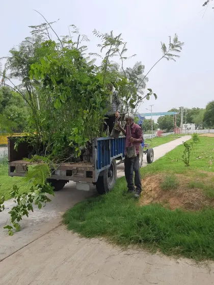 Another shot from our charitable project, with our team on-site with a tractor full of saplings. We believe in making a positive environmental impact through our work.
