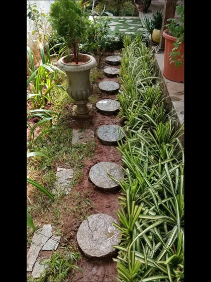 A rustic garden path made with round stepping stones and bordered by lush spider plants. This creates a natural, informal walkway.
