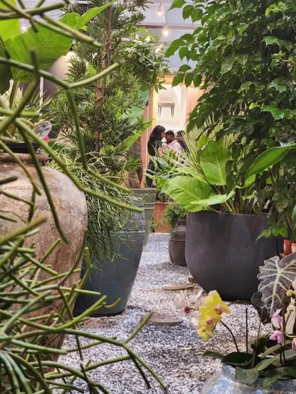 Plants, plants, and more plants. Because when it comes to greenery, the more, the merrier. Our nursery is a testament to that philosophy, a place where you can get lost in the foliage.