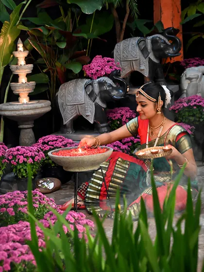 A classical dancer arranges flowers during a Diwali celebration at our store. The scene is set with our handcrafted stone elephants, a tiered fountain, and beds of vibrant purple chrysanthemums.