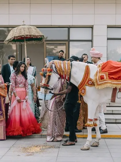The groom's arrival on a decorated white horse, a classic Baraat moment. I capture the excitement as the groom's side prepares to be welcomed.
