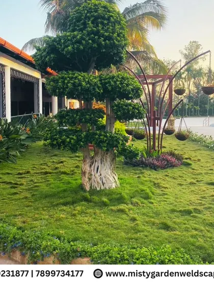 A stunning Ficus bonsai tree serves as a living sculpture and focal point in this luxury villa garden, surrounded by a perfectly manicured lawn.