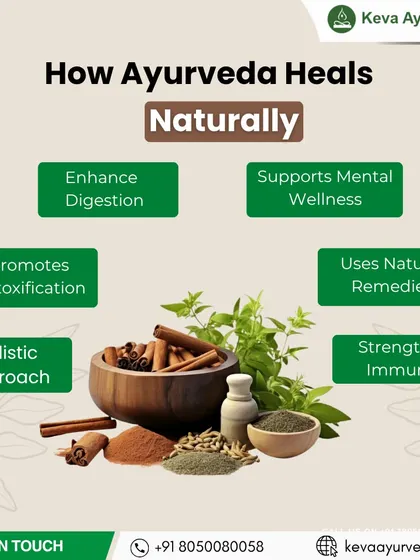 My practice is built on the holistic principles shown here. I focus on enhancing digestion, promoting detoxification, strengthening immunity, and supporting mental wellness using natural remedies to treat the whole person, not just the symptoms.