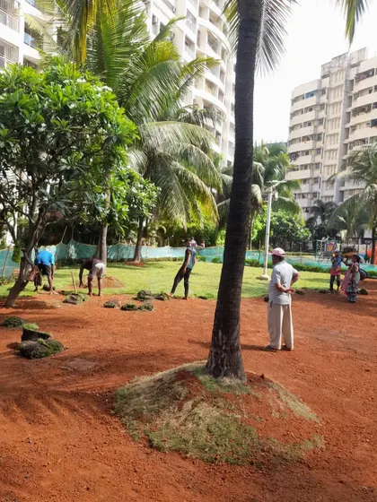 Another view of the lawn installation in progress, with workers methodically covering the ground with fresh sod.