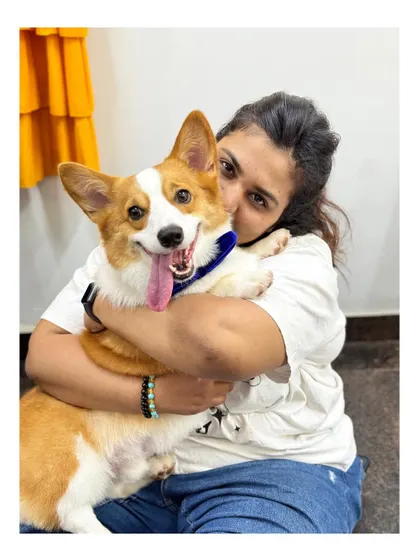 Cuddles with a happy Corgi client. Their thick coat requires regular brushing to control shedding.