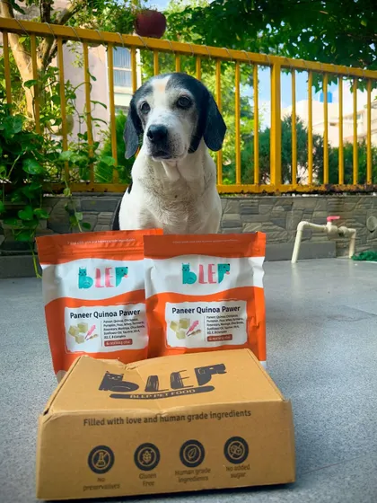 This senior beagle is enjoying our Paneer Quinoa Pawer. Our vegetarian recipe is a great option for dogs who need a meat-free diet.