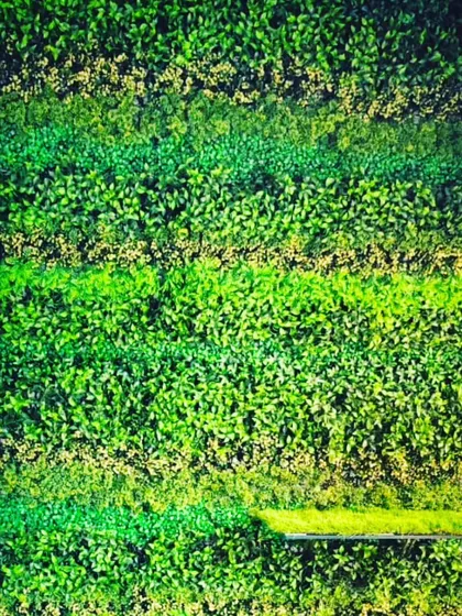 For this project, I used different types of artificial greenery arranged in horizontal stripes. This creates a textured and modern look, adding visual interest to a plain wall in an office or commercial space.