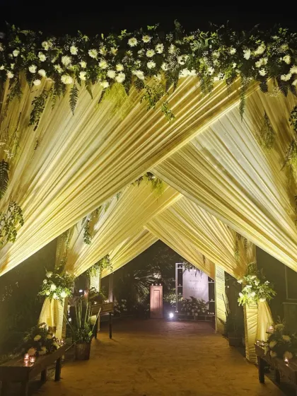 For a sophisticated and elegant reception, I designed this stunning entrance with a canopy of draped yellow fabric and lush white flowers. The warm lighting creates a welcoming and luxurious ambiance for the evening.